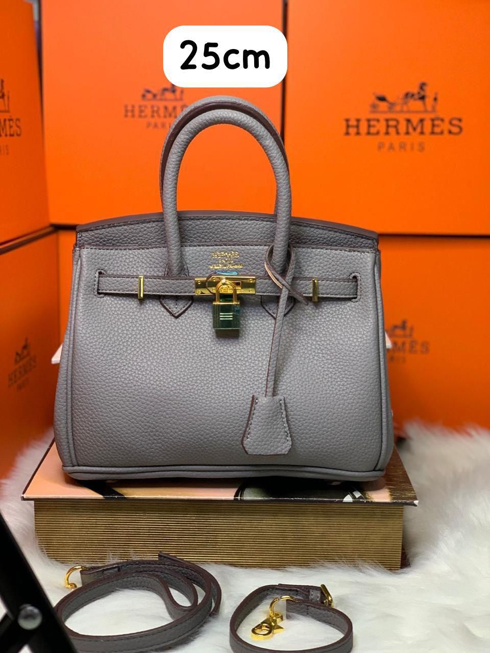Hermes Birkin 25 Gray